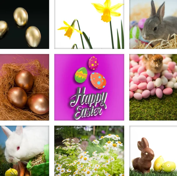 Golden easter eggs — Stock Photo, Image