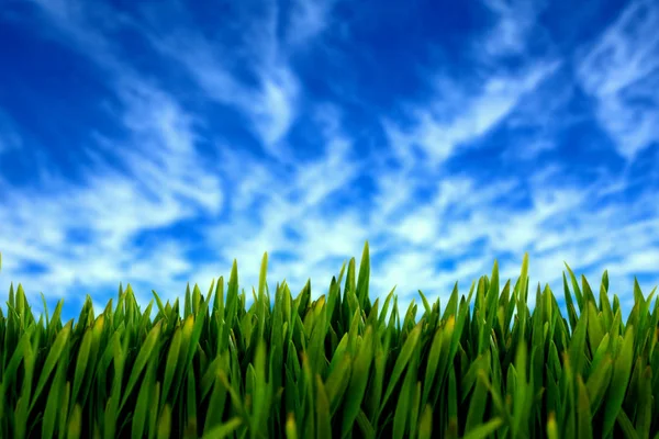 Verschwommenes animiertes Leuchten gegen den Blick in den blauen Himmel — Stockfoto