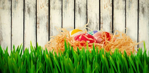 Açık havada büyüyen çimen ve yumurta — Stok fotoğraf