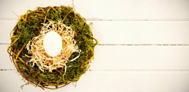 Beyaz yumurta yuvada 