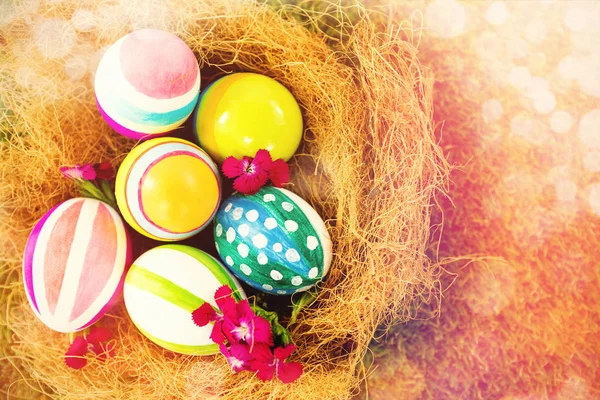 Painted Easter eggs in nest — Stock Photo, Image