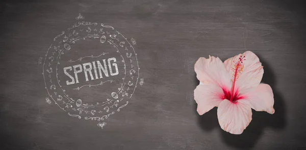 Spring logo against grey background — Stock Photo, Image