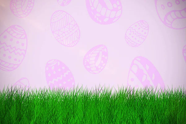 Grass against purple background — Stock Photo, Image