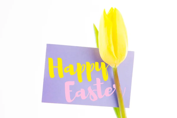 Happy easter logo — Zdjęcie stockowe