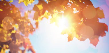 Bileşik görüntü parlak arka plan