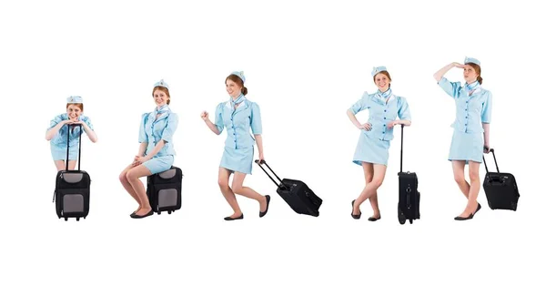 Funy stewardessa kolekcji — Zdjęcie stockowe