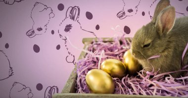 Paskalya tavşanına yumurta ve desen