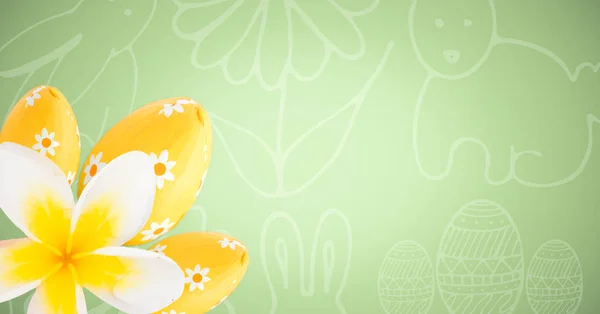 Sarı çiçek ve yumurta — Stok fotoğraf