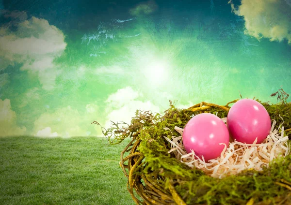 Œufs de Pâques dans le nid devant le ciel magique — Photo