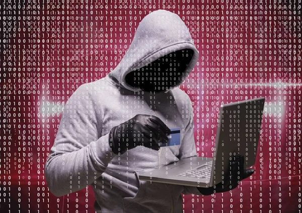 Grijze trui hacker met de computer en de credit card — Stockfoto