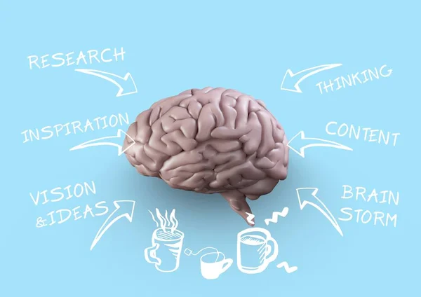 Hjärnan och idéer ord — Stockfoto
