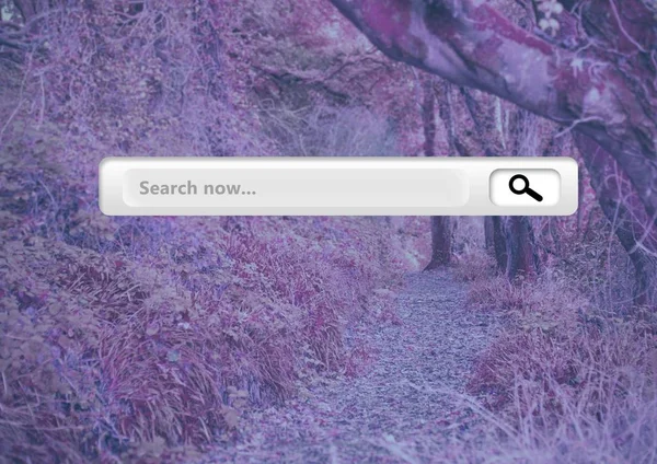 Barre de recherche avec forêt rose — Photo