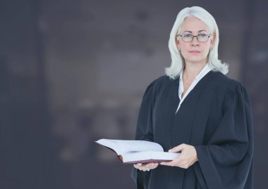 Yargıç holding kitap