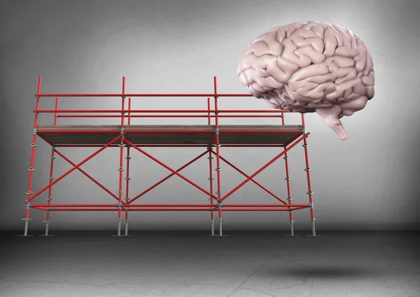 Gehirn vor Baugerüst in grauem Raum — Stockfoto