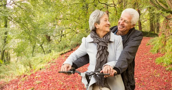 Liebendes Senioren-Paar radelt im Wald — Stockfoto