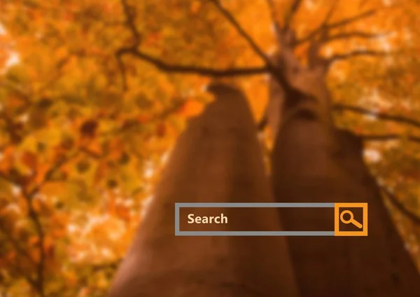 Vyhledávací panel s pozadím lesních — Stock fotografie
