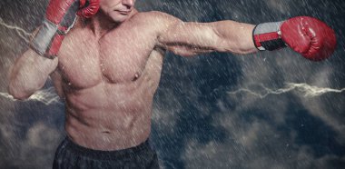 Duruş mücadelede kel boksör