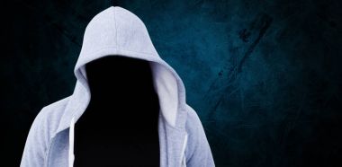 hırsız gredy hoodie