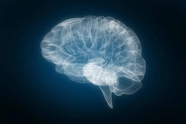 Imagem 3D do cérebro humanoτρισδιάστατη εικόνα του ανθρώπινου εγκεφάλου — Φωτογραφία Αρχείου