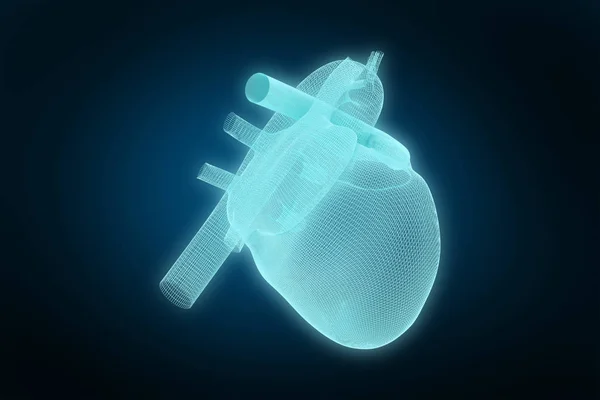 3d ілюстрація людського серця — стокове фото