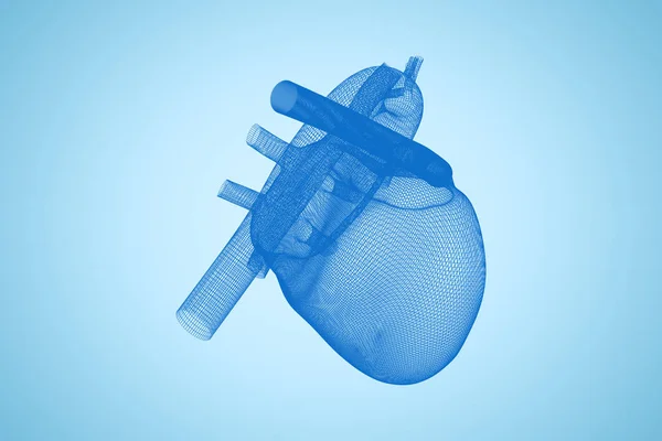3d иллюстрация человеческого сердца — стоковое фото