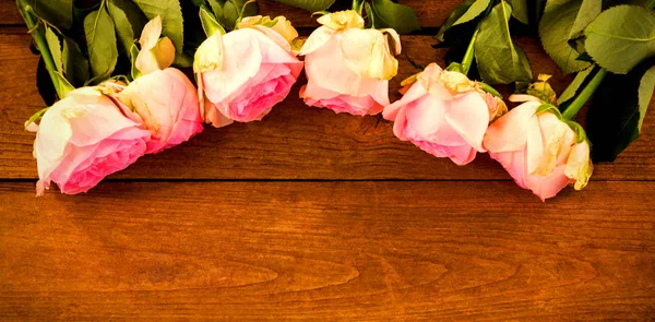 핑크 장미 나무 판자에 배열 — 스톡 사진