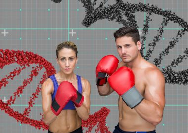 gri ve kırmızı dna zincirleri ile boksör çift. Teknolojik altyapı