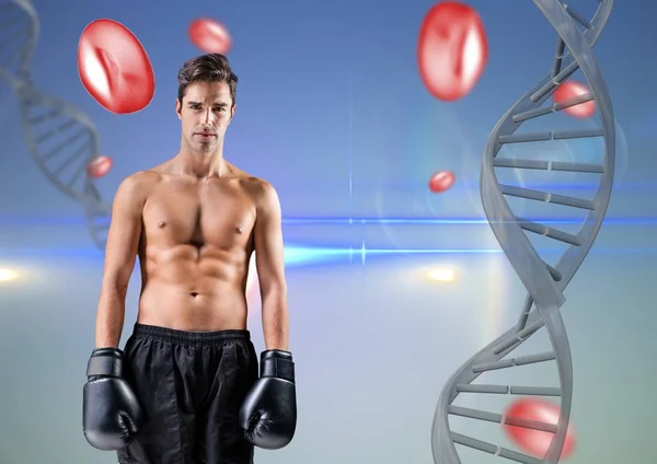 Boxer man with DNA chain and red things in a blue background — Stock Photo, Image