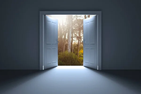 Beyaz açık kapılar ormana — Stok fotoğraf