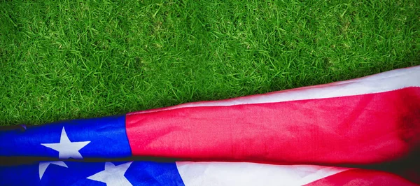 Nous a plissé drapeau contre herbe — Photo