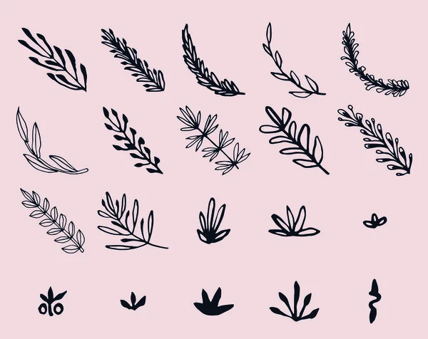 Vektör Icon set yaprak