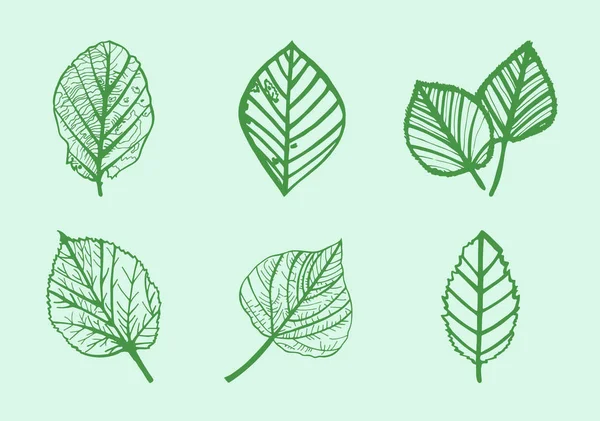 Icona vettoriale di varie foglie — Vettoriale Stock