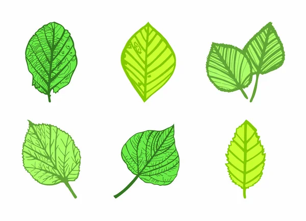 Icône vectorielle de différentes feuilles — Image vectorielle