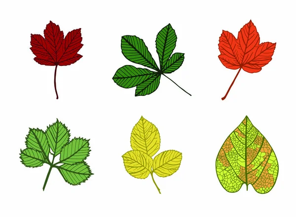 Icono vectorial de hojas de otoño — Vector de stock