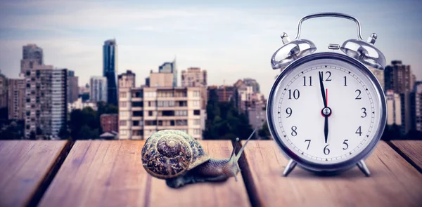 Snail and clocks on wooden table — Stock Photo, Image