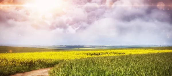 Vista panorámica del camino vacío que pasa a través de los campos — Foto de Stock