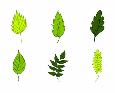 Sonbahar yaprakları vektör simgesi