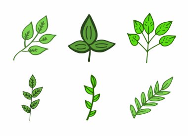 Sonbahar yaprakları vektör simgesi