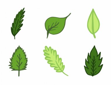 Sonbahar yaprakları vektör simgesi