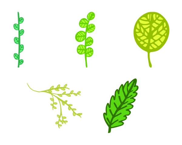 Vector ikonen av olika löv — Stock vektor
