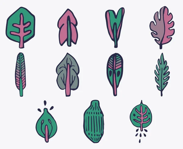 Ensemble d'icônes vectorielles de feuilles — Image vectorielle
