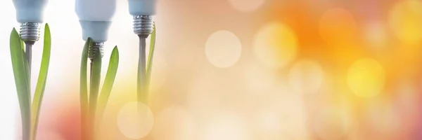 Plants with light bulbs and orange bokeh transition — Stock Photo, Image