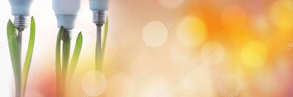 Plants with light bulbs and orange bokeh transition