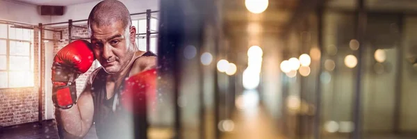 Boxeador hombre de combate con luces de transición —  Fotos de Stock