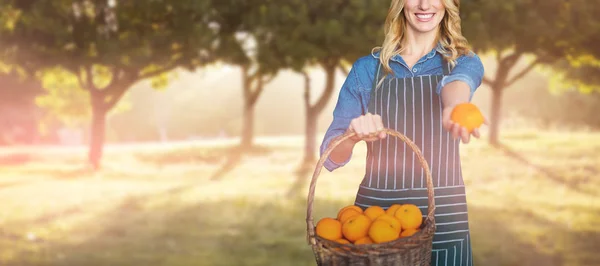 Mujer joven sosteniendo naranjas en cesta — Foto de Stock