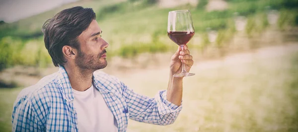와인을 들고 레드 하는 남자 — 스톡 사진