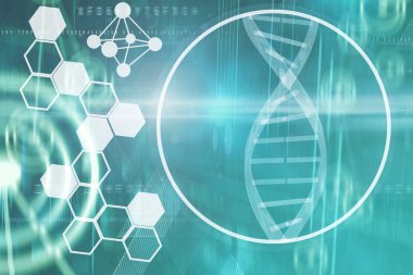 DNA sarmalı ve moleküller arabirimi