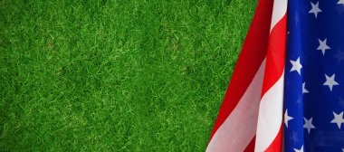 Amerikan Ulusal Bayrağı 