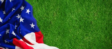 Amerikan Ulusal Bayrağı 