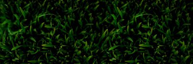 green grass mat clipart